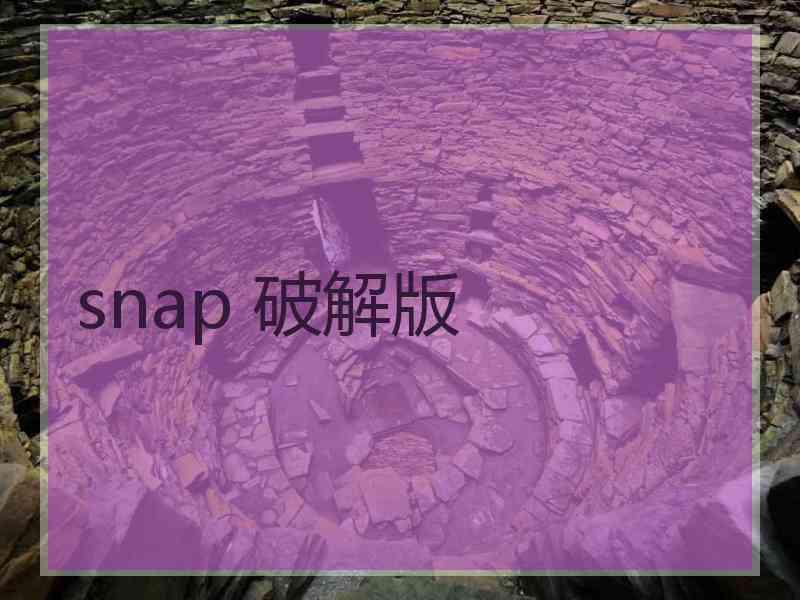 snap 破解版