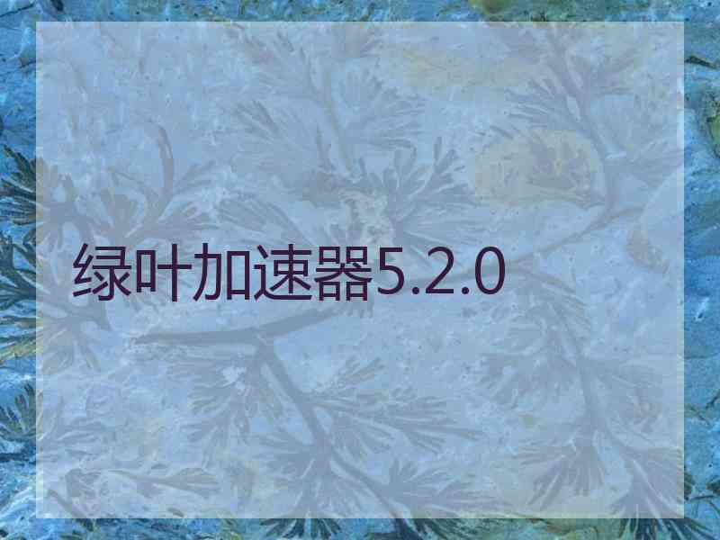 绿叶加速器5.2.0