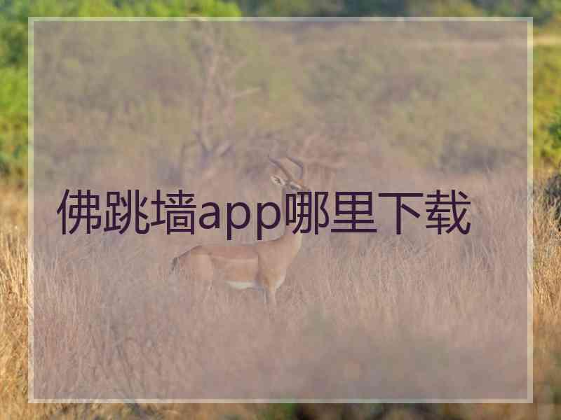 佛跳墙app哪里下载