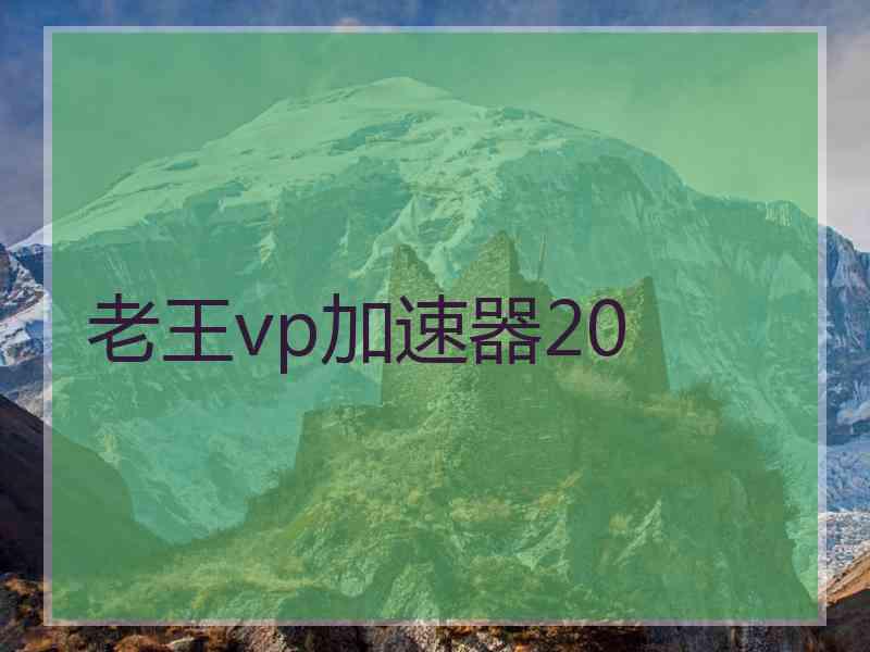 老王vp加速器20