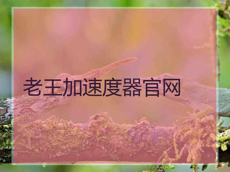 老王加速度器官网