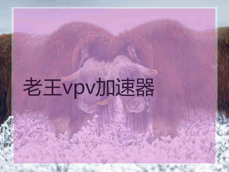 老王vpv加速器