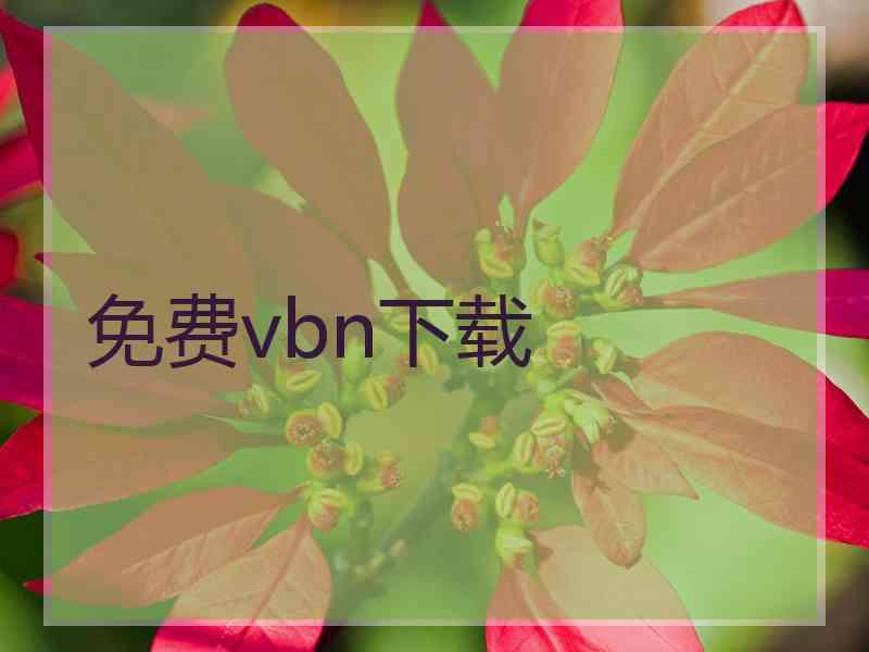 免费vbn下载