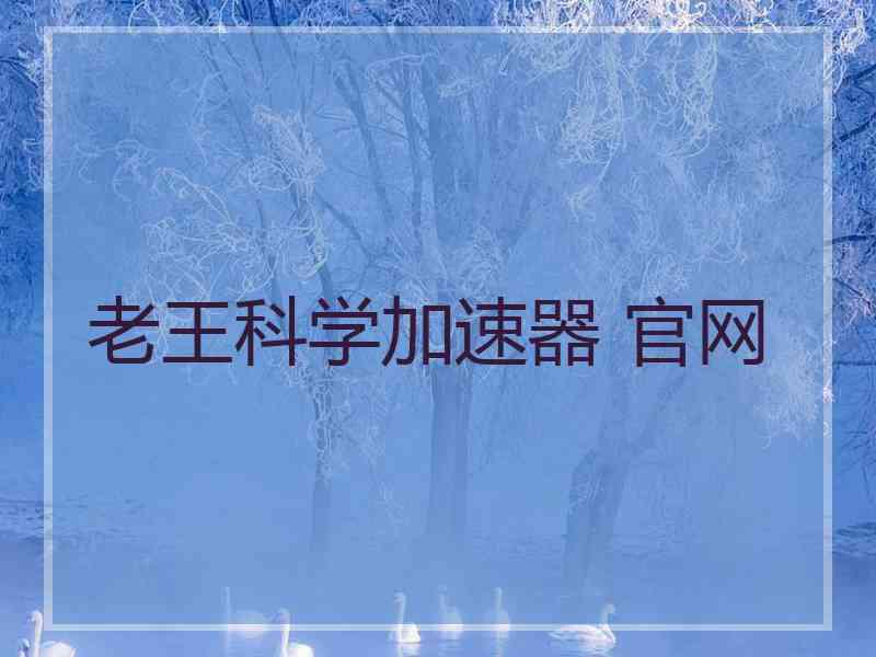 老王科学加速器 官网