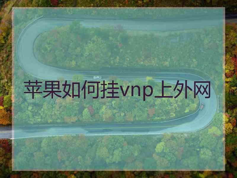 苹果如何挂vnp上外网