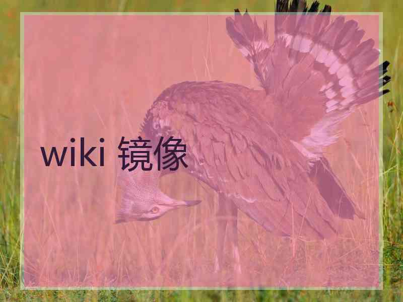 wiki 镜像