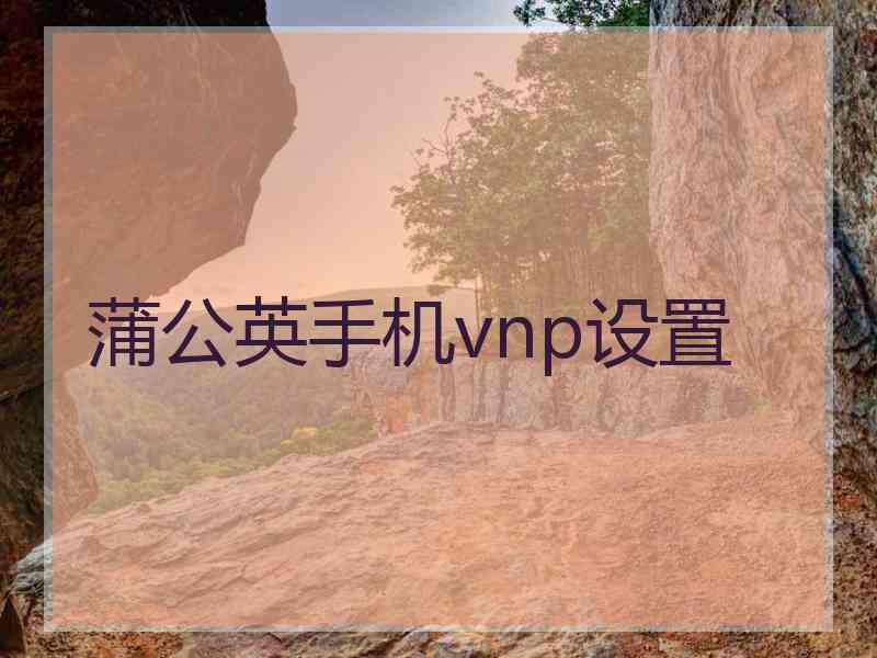 蒲公英手机vnp设置