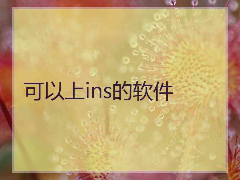 可以上ins的软件