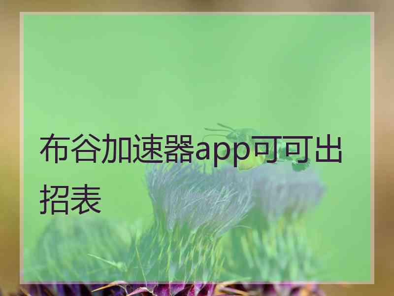 布谷加速器app可可出招表