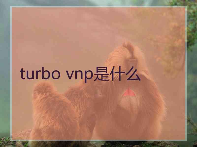 turbo vnp是什么