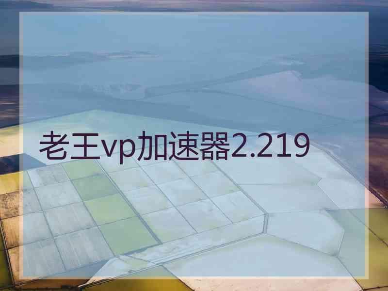 老王vp加速器2.219