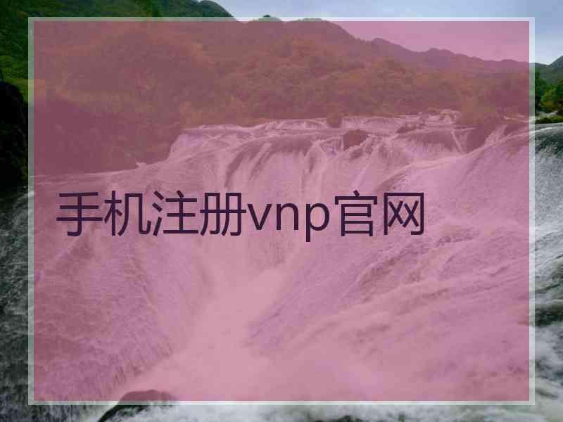 手机注册vnp官网