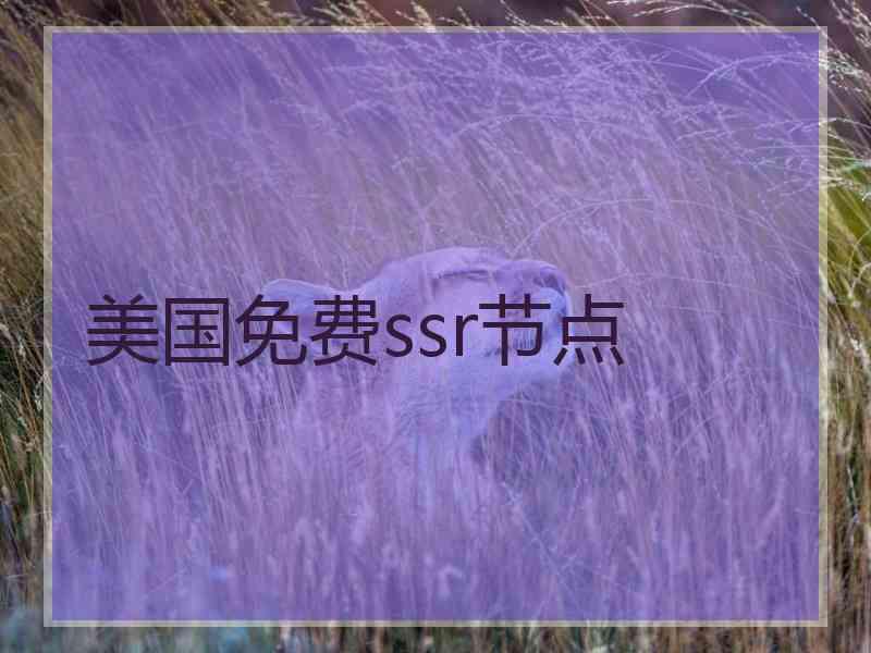 美国免费ssr节点