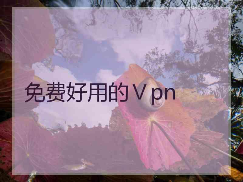 免费好用的Ⅴpn