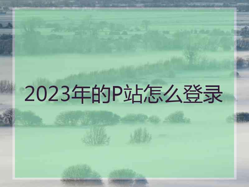 2023年的P站怎么登录