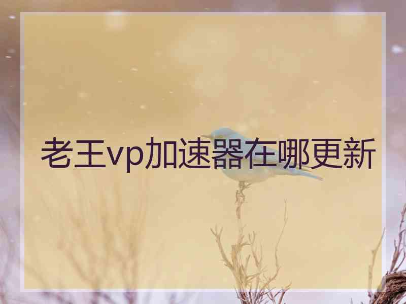 老王vp加速器在哪更新