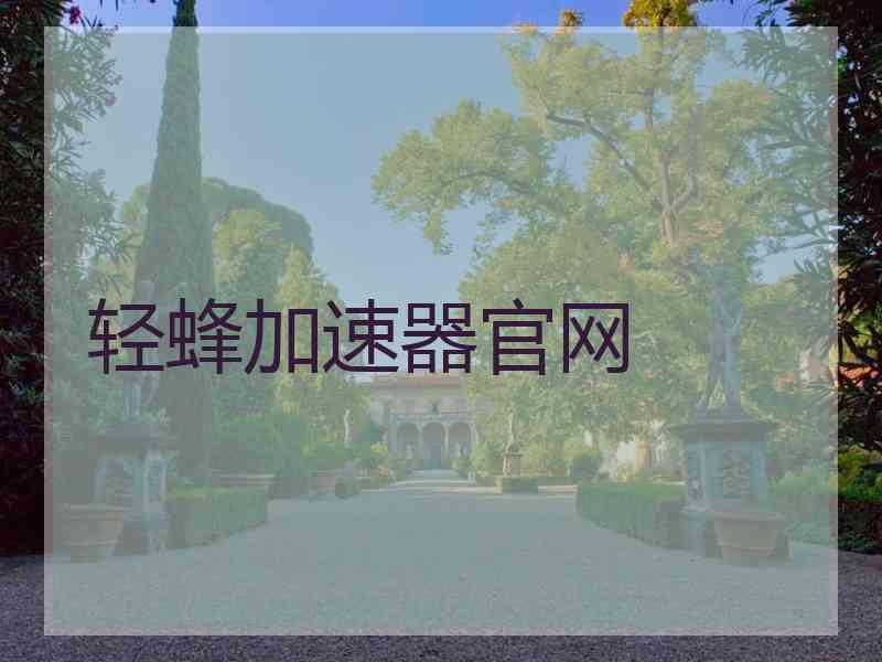 轻蜂加速器官网