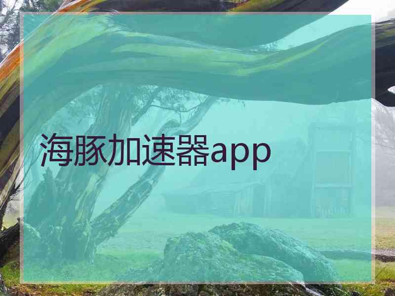 海豚加速器app