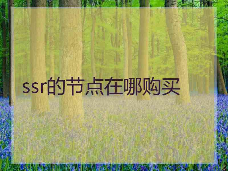 ssr的节点在哪购买