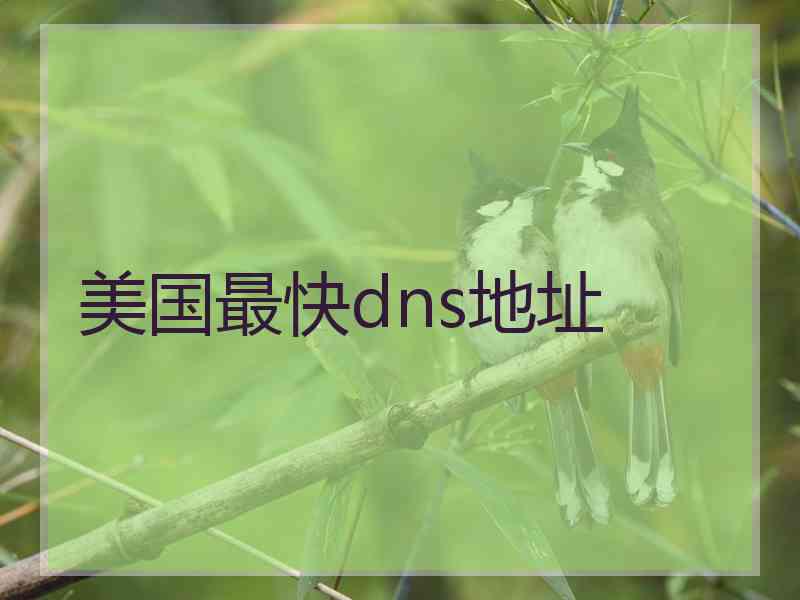 美国最快dns地址