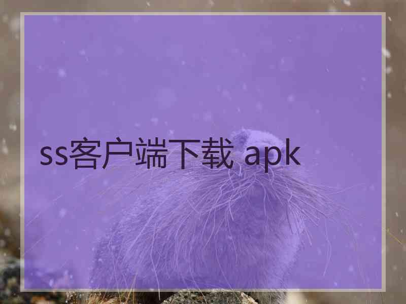 ss客户端下载 apk