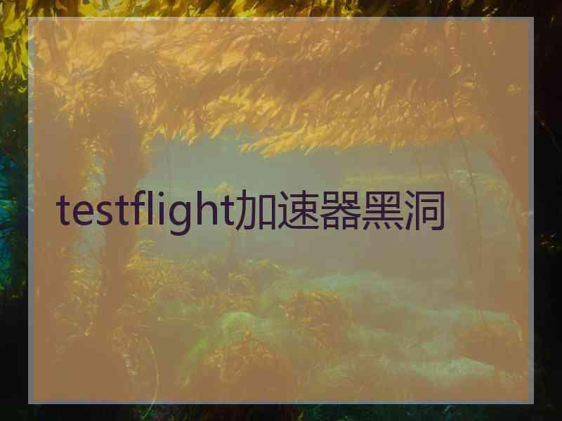 testflight加速器黑洞