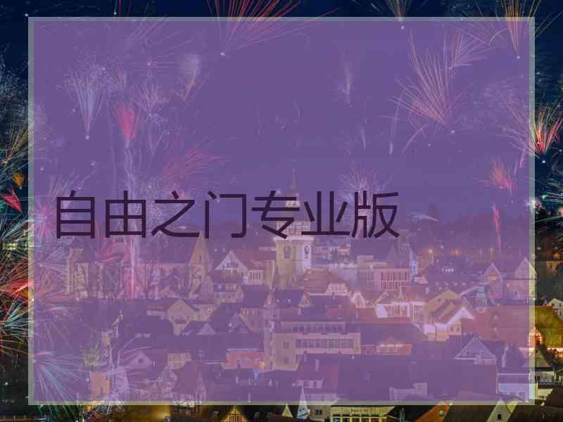 自由之门专业版