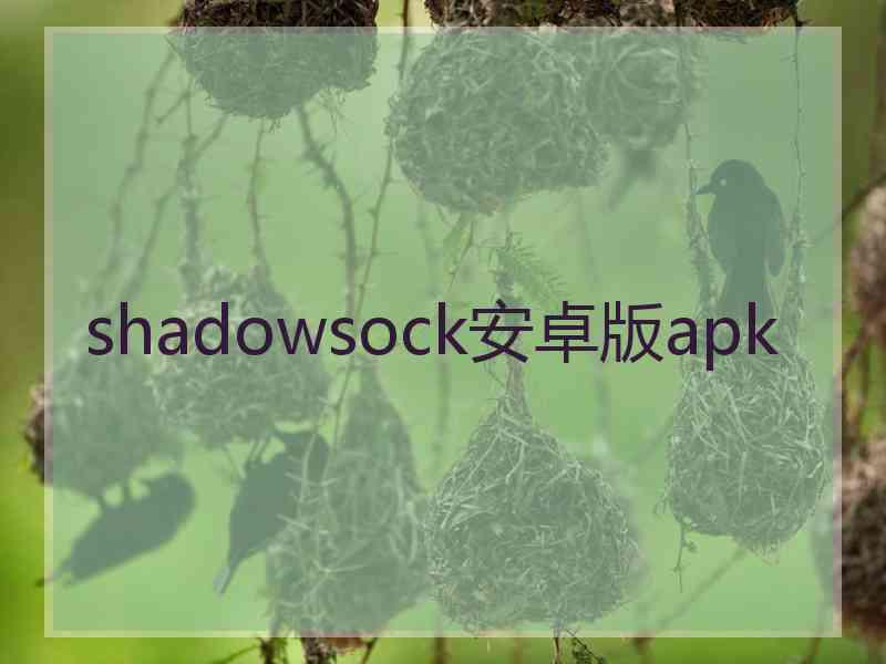 shadowsock安卓版apk