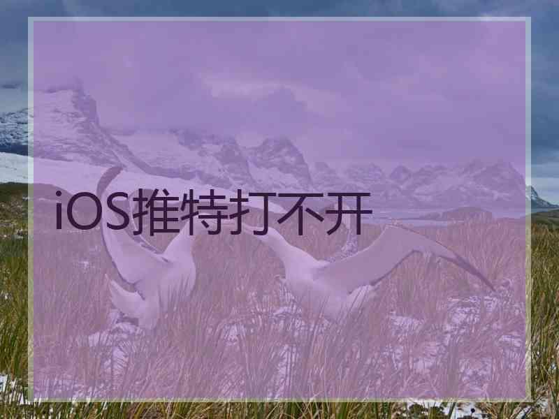 iOS推特打不开