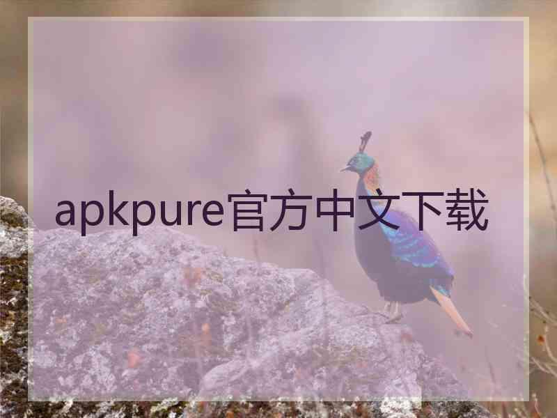 apkpure官方中文下载