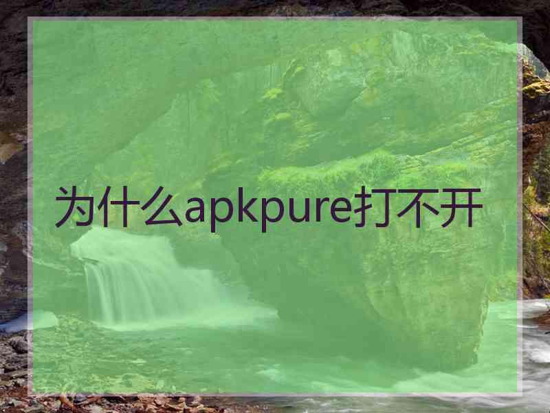 为什么apkpure打不开