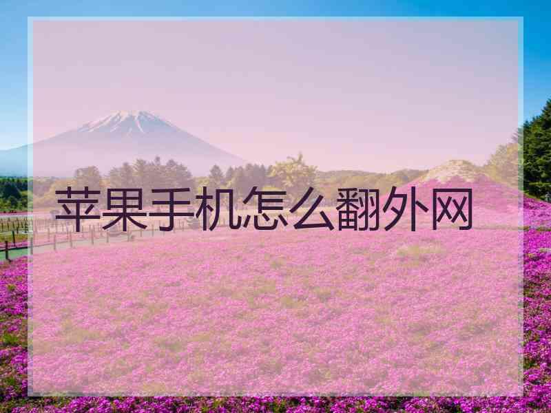 苹果手机怎么翻外网