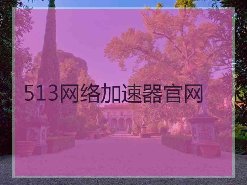 513网络加速器官网