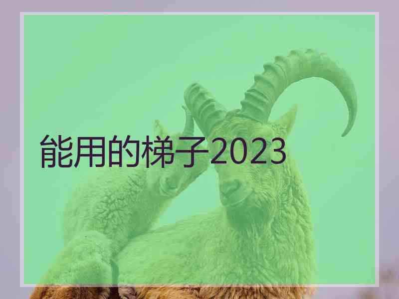 能用的梯子2023