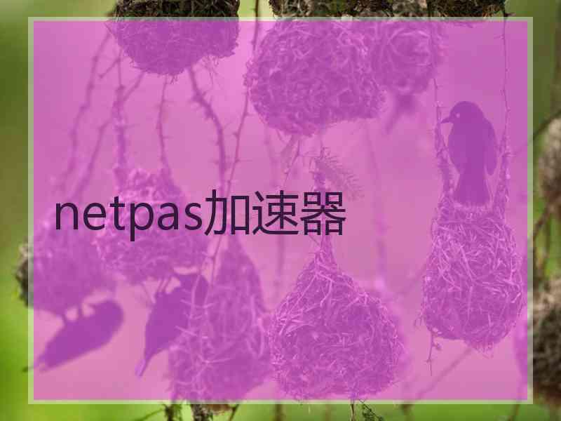 netpas加速器