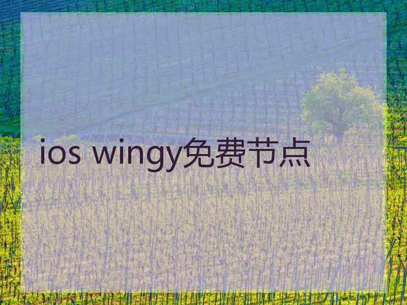 ios wingy免费节点