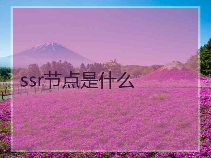 ssr节点是什么