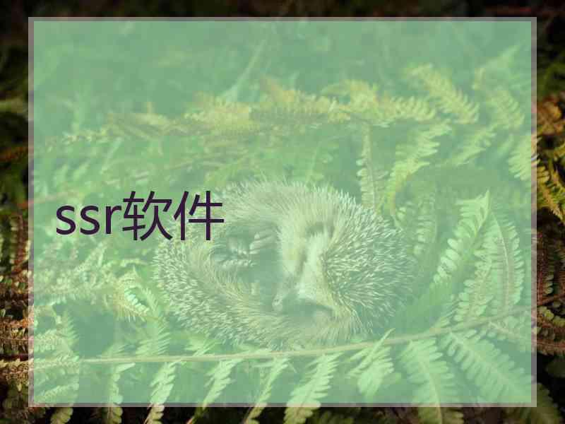 ssr软件