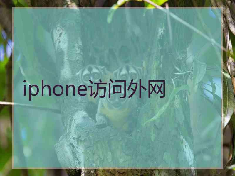 iphone访问外网