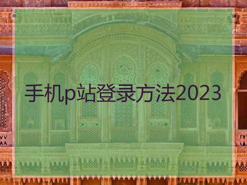 手机p站登录方法2023