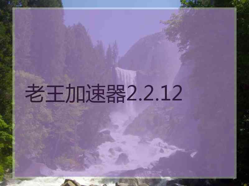 老王加速器2.2.12