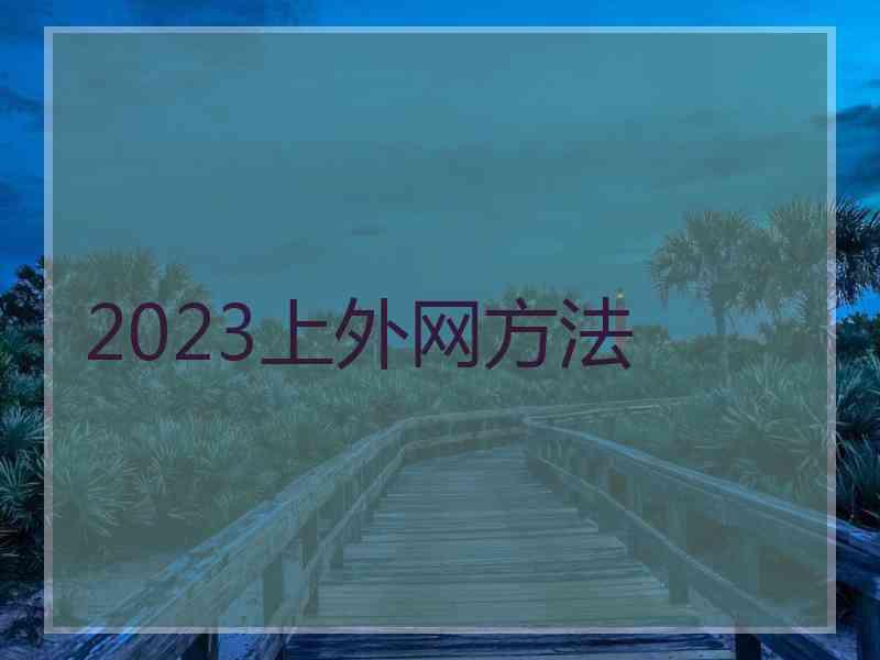 2023上外网方法