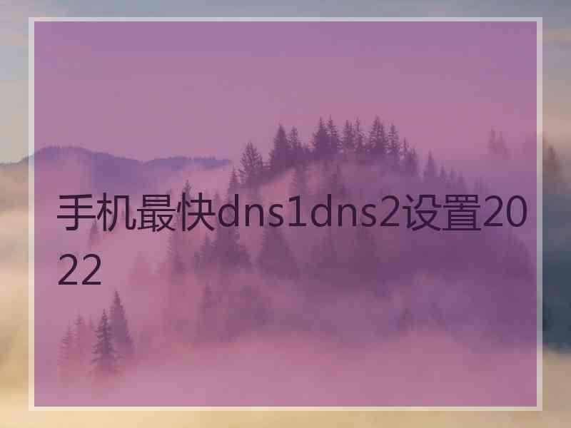 手机最快dns1dns2设置2022