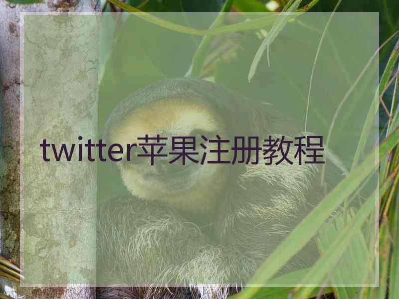 twitter苹果注册教程