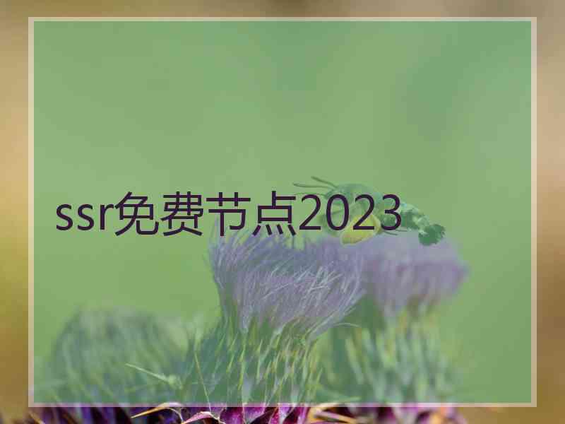 ssr免费节点2023