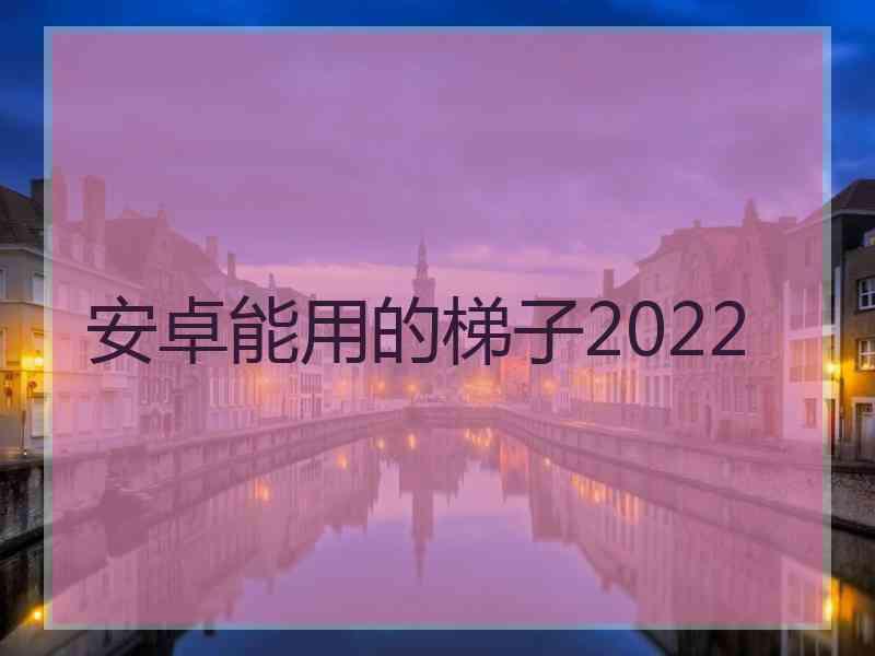 安卓能用的梯子2022