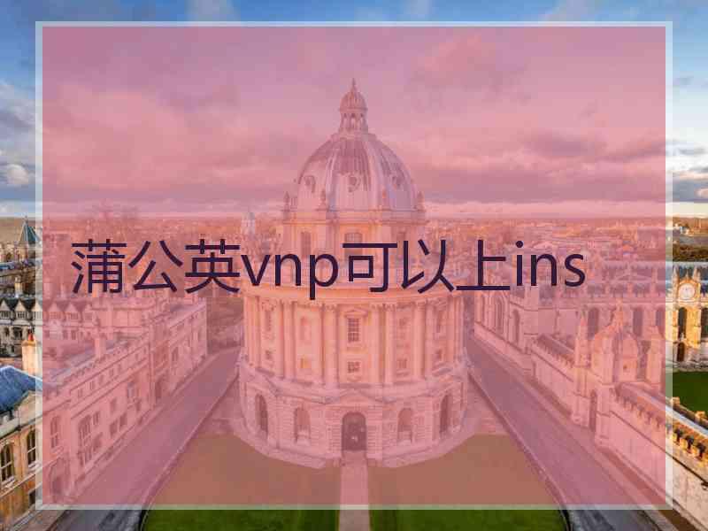 蒲公英vnp可以上ins