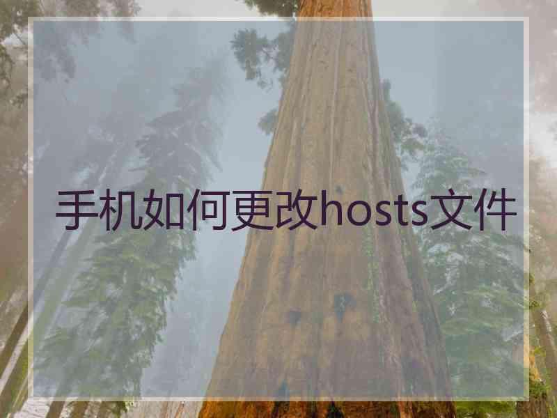 手机如何更改hosts文件