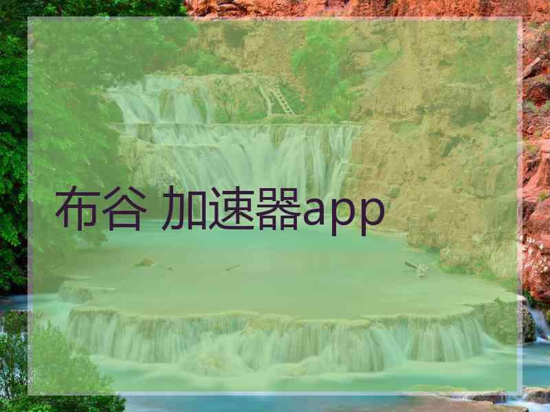 布谷 加速器app