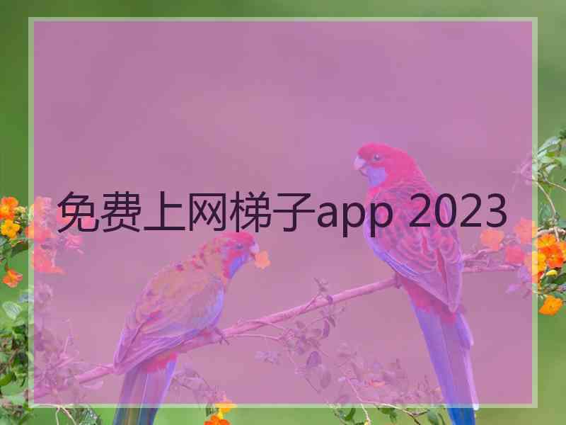 免费上网梯子app 2023